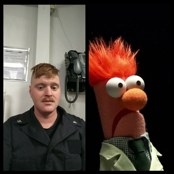 Meet your Posher, Joshua - Picture 1 of 1